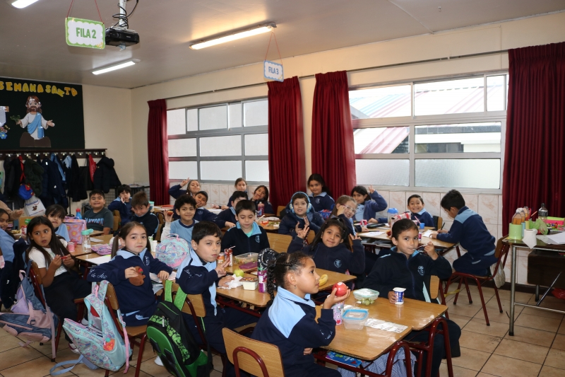 Día de la Actividad Física